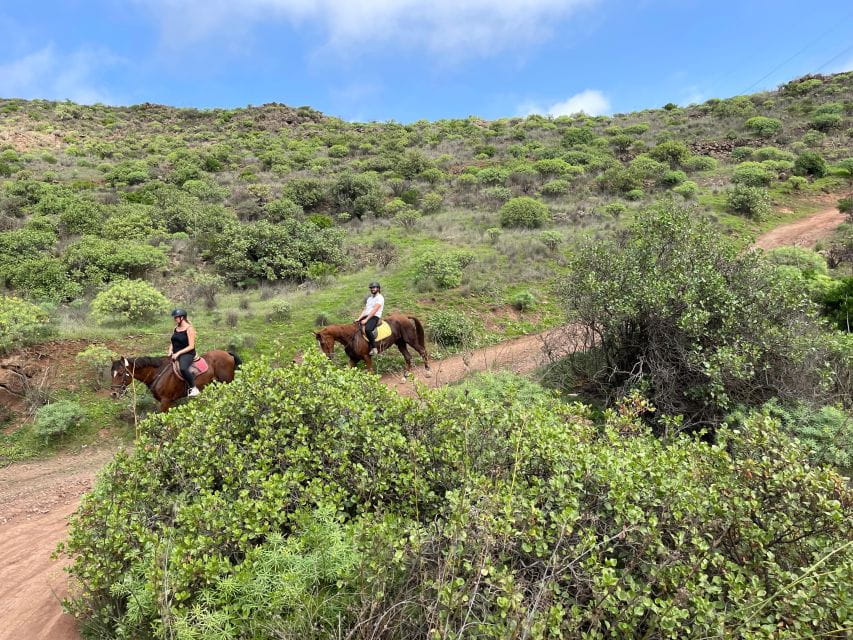 Mountain Panoramic Tour of 2 Hours - Things To Know