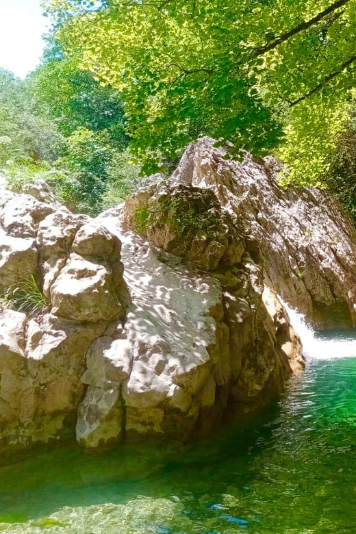 Mountain Train Experience: Hike & Mystic Forest (From Nice) - The Geological Hike and the Mystic Forest