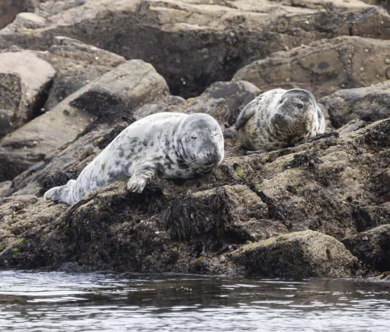 Mounts Bay, Penzance Boat Trip - A closer look at the Penzance boat trip