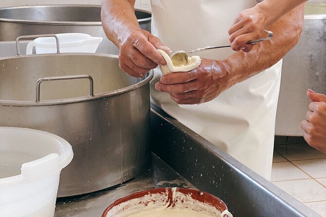 Mozzarella Experience - Cheese Tour and Tastings at Masseria Fragnite - Cancellation Policy