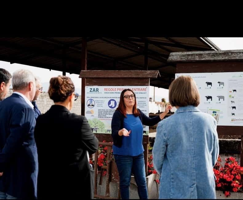 Mozzarella experience: discovering the art of cheese making - Discovering the Art of Cheese Making in Campania