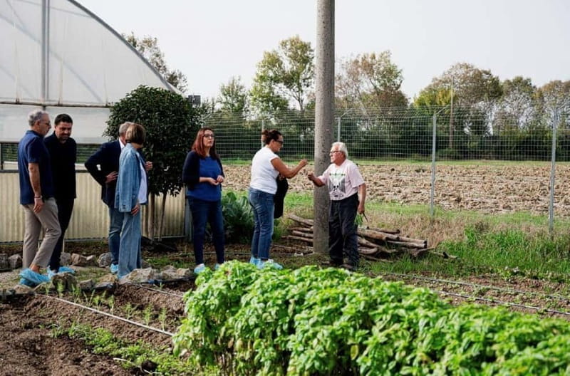Mozzarella experience: discovering the art of cheese making - Who’s This Tour Best For?