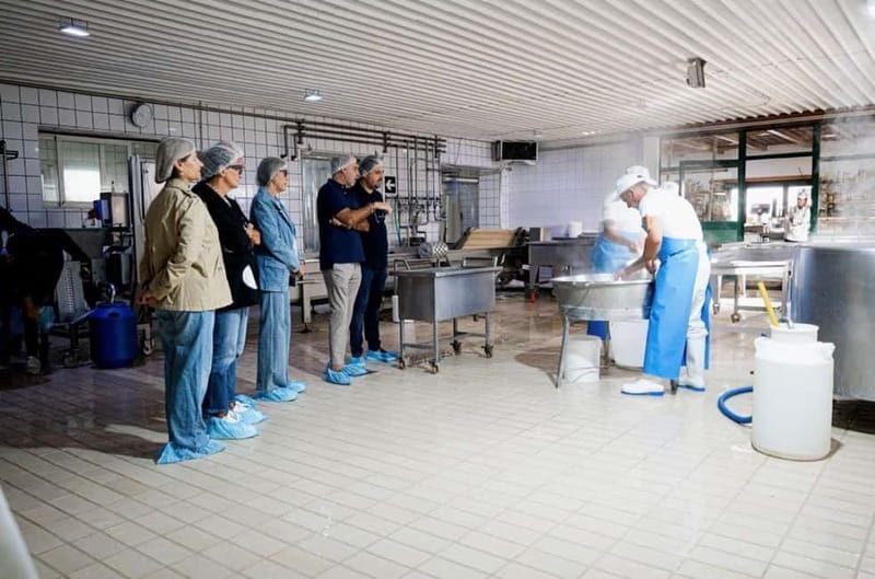 Mozzarella experience: discovering the art of cheese making - Final Thoughts