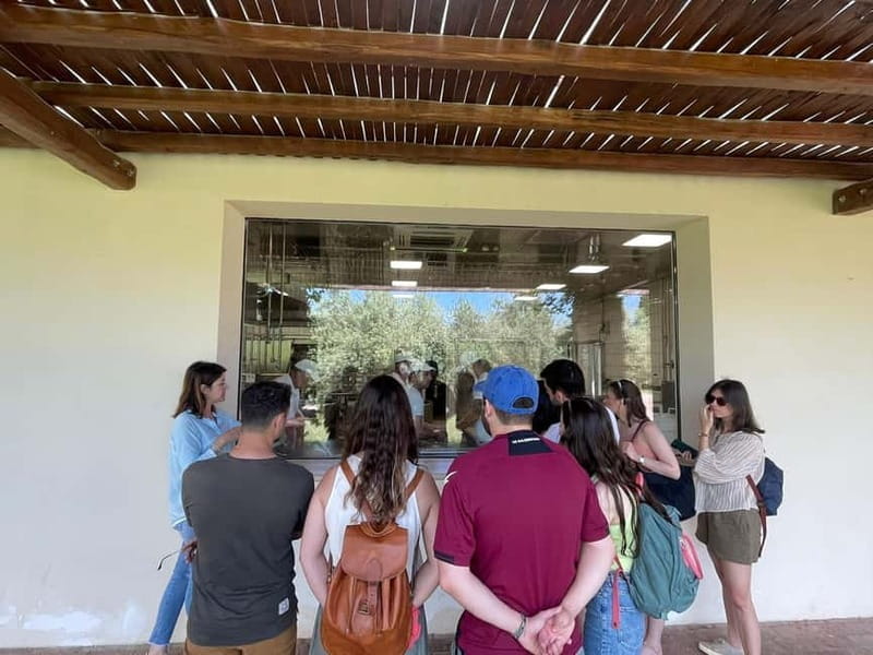 Mozzarella Experience: Tour + Lunch in Paestum's dairy - Exploring the heart of Paestum’s cheese-making tradition