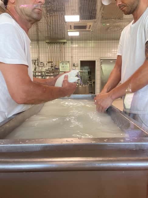 Mozzarella Experience: Tour + Lunch in Paestum's dairy - Price and logistics: a small group with big value