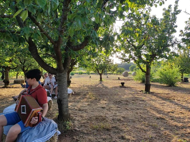 Mozzarella making class with Apulian music and dance - Practical Details and Value