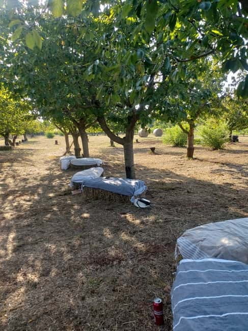 Mozzarella making class with Apulian music and dance - Final Thoughts