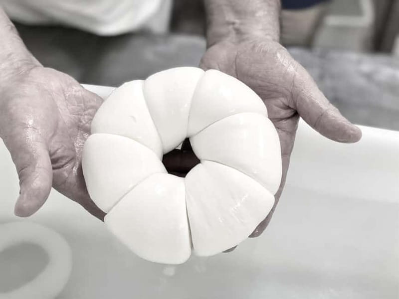 Mozzarella Making Experience (Live it, Discover it, Taste it) - Introduction to the Mozzarella Making Experience