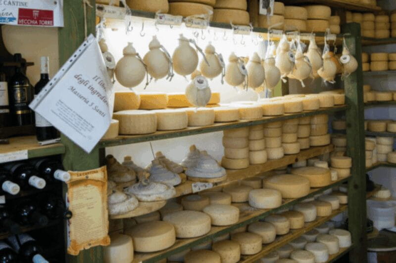 MOZZARELLA WITH YOUR OWN HANDS, EXPERIENCE ON THE FARM - Key points / Takeaways