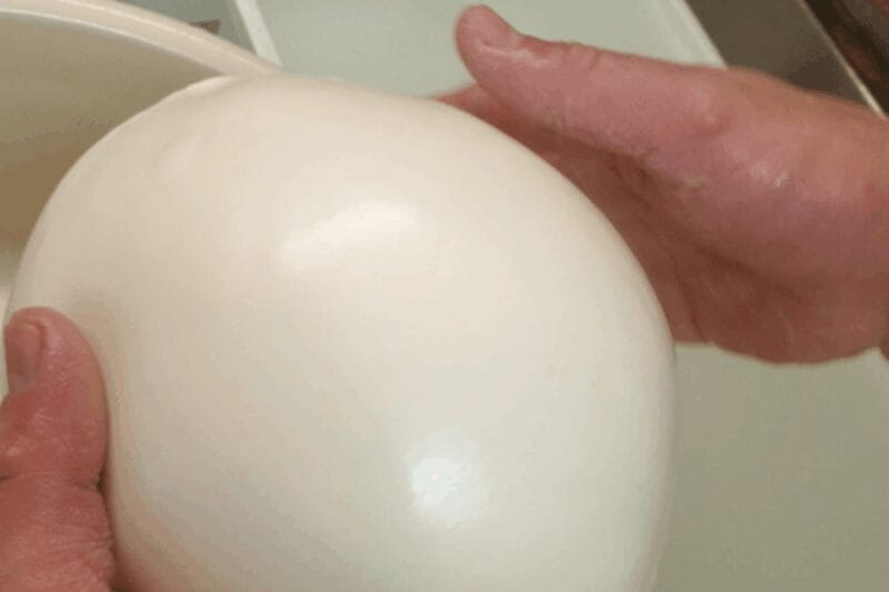 MOZZARELLA WITH YOUR OWN HANDS, EXPERIENCE ON THE FARM - Making the Most of Your Farm Cheese Experience