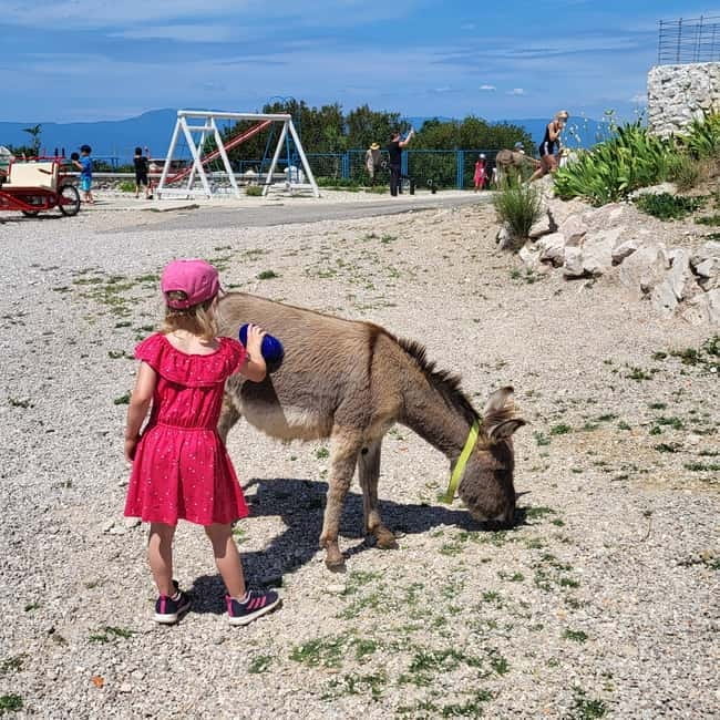 mrika (near Rijeka/Krk/Crikvenica) Donkey Farm Family Fun - Key points / Takeaways