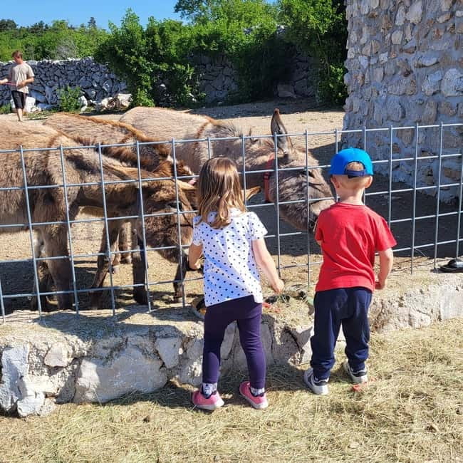 mrika (near Rijeka/Krk/Crikvenica) Donkey Farm Family Fun - Price and Value Analysis
