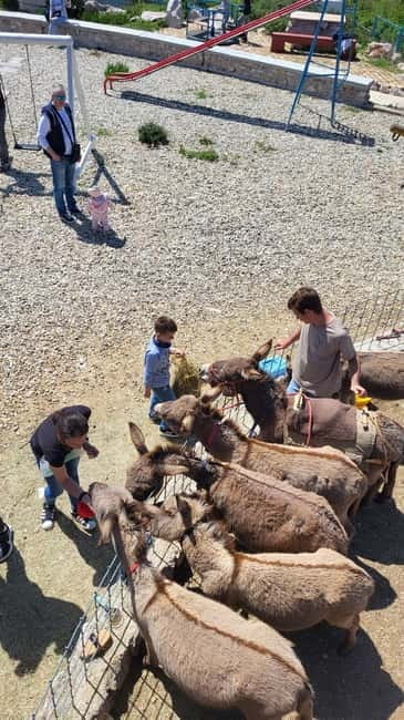 mrika (near Rijeka/Krk/Crikvenica) Donkey Farm Family Fun - Final Thoughts
