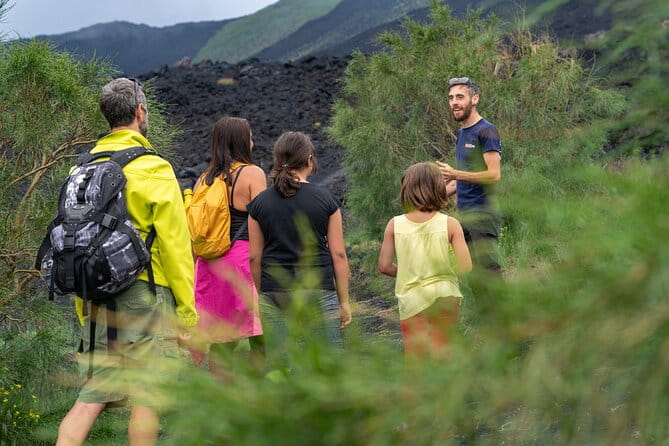Mt. Etna nature and flavors half day Tour from Catania - Introduction to the Mount Etna Half-Day Tour from Catania