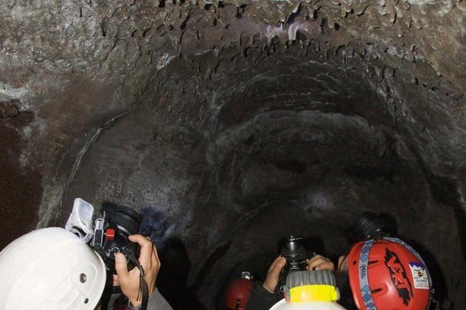 Mt. Etna nature and flavors half day Tour from Catania - Final Thoughts: Is It Worth It?