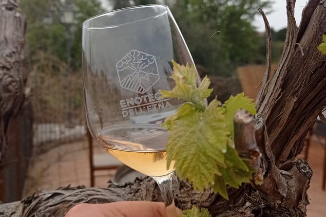 Mt. Etna trekking and Wine tasting - From Syracuse - The Best of Sicilian Wines and Local Flavors