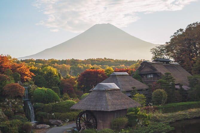 Mt. Fuji 1-Day Private Tour With English & Hindi-Speaking Driver - Accessibility and Health Considerations