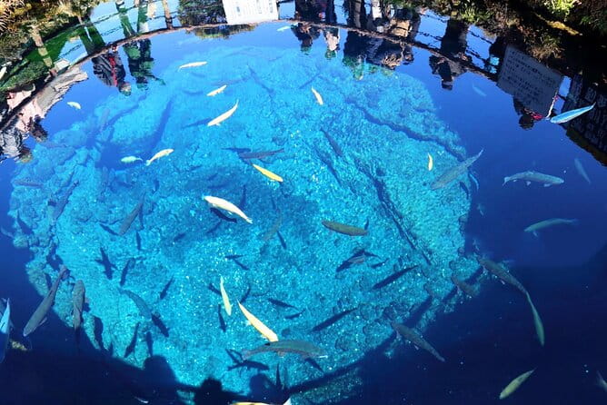 Mt. Fuji 5th, Oshino Hakkai, Onsen Full-Day Trip From Tokyo - Key Points