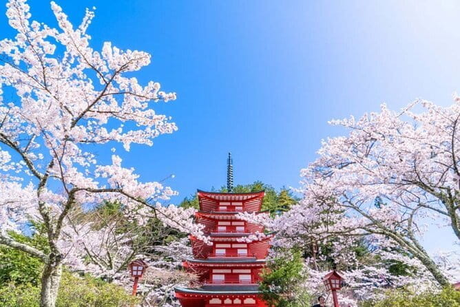 Mt Fuji 5th Station/Arakurayama Sengen Park & Oshino Hakkai Tour - Included and Excluded Costs