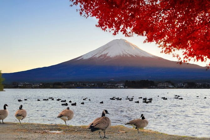 Mt. Fuji 5th Station Day Tour and Matcha Making in Tokyo - Key Points