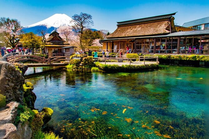 Mt. Fuji 5th Station Day Tour and Matcha Making in Tokyo - Inclusions