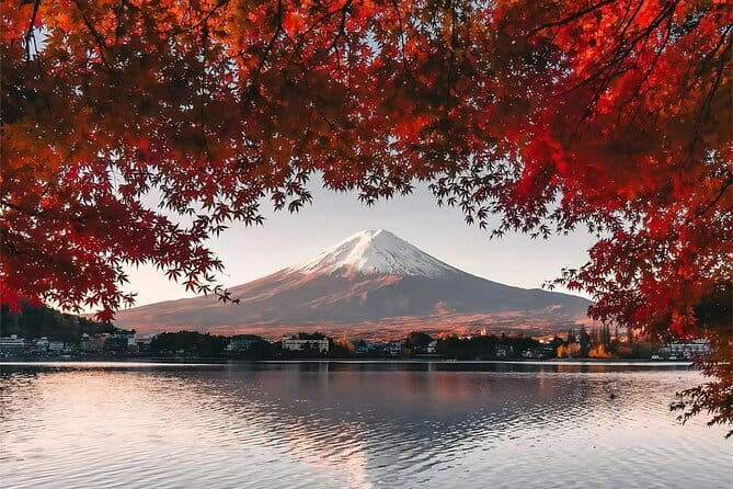 Mt. Fuji 5th Station Day Tour and Matcha Making in Tokyo - Getting to the Meeting Point