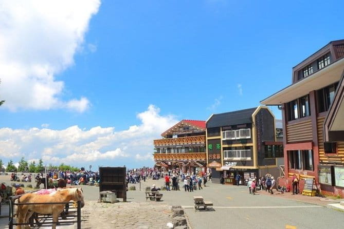 Mt. Fuji 5th Station, Owakudani Ropeway, Pirate Ship Plus Outlet Shopping! - Booking and Policies