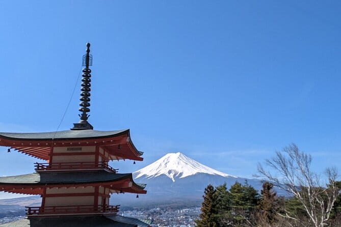 Mt. Fuji and Cherry Blossom Day Trip With English Speaking Driver - Driver and Guide Experience
