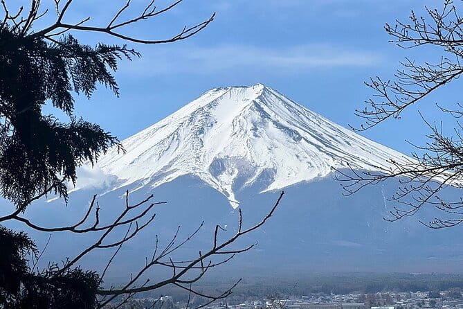 Mt. Fuji and Cherry Blossom Day Trip With English Speaking Driver - Seasonal Attractions and Events