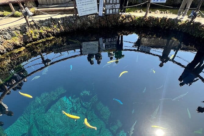 Mt. Fuji and Cherry Blossom Day Trip With English Speaking Driver - Mt. Fuji 5th Station: Exploring the Iconic Landmark