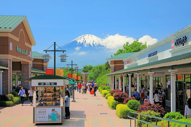 Mt. Fuji and Gotemba Outlet Private Day Trip From Tokyo - The Sum Up