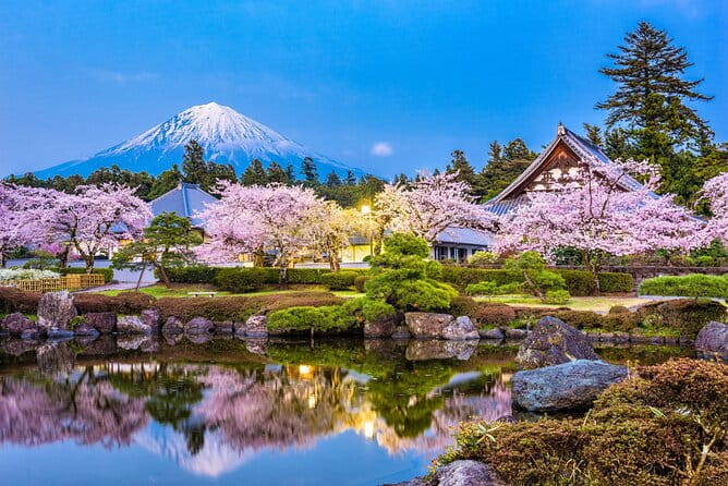 Mt Fuji and Gotemba Outlet Tour From Tokyo - Inclusions and Amenities