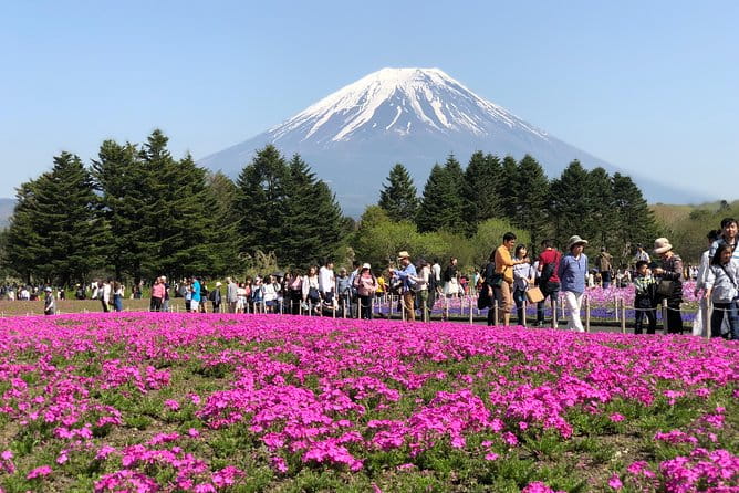 Mt Fuji and Gotemba Outlet Tour From Tokyo - Traveler Experience