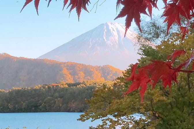 Mt Fuji and Gotemba Outlet Tour From Tokyo - Reviews and Feedback