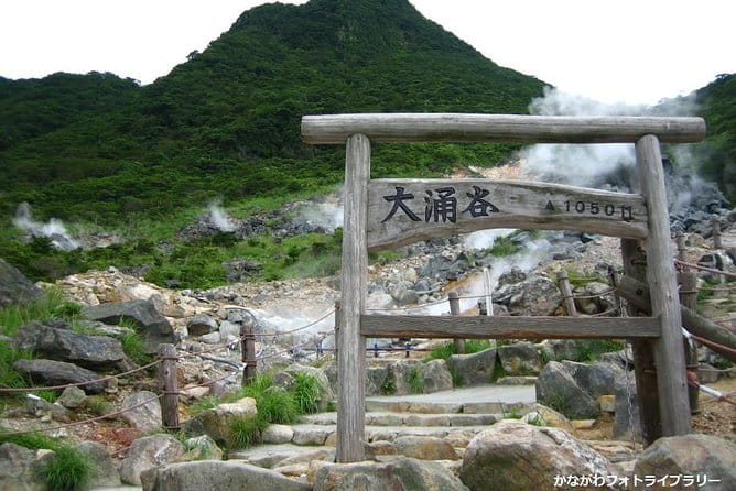 Mt. Fuji and Hakone Day Trip From Tokyo With Bullet Train Option - Inclusions and Exclusions