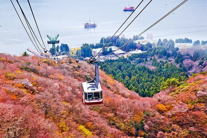 Mt. Fuji and Hakone Land Sea Air Tour With Free Skycar From Tokyo - Important Notes