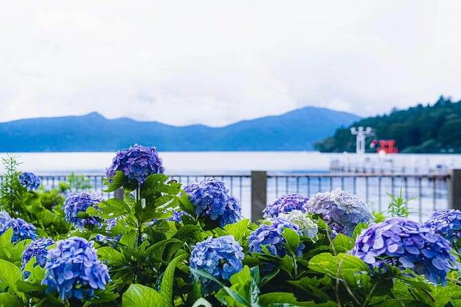 Mt Fuji and Hakone One Day Tour Departure From Tokyo With Lunch - Key Points