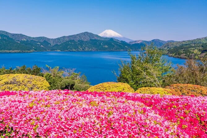Mt Fuji and Hakone One Day Tour Departure From Tokyo With Lunch - Itinerary Highlights