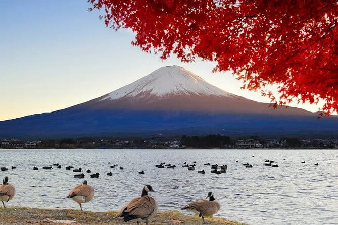 Mt Fuji and Hakone One Day Tour Departure From Tokyo With Lunch - Accessibility Features