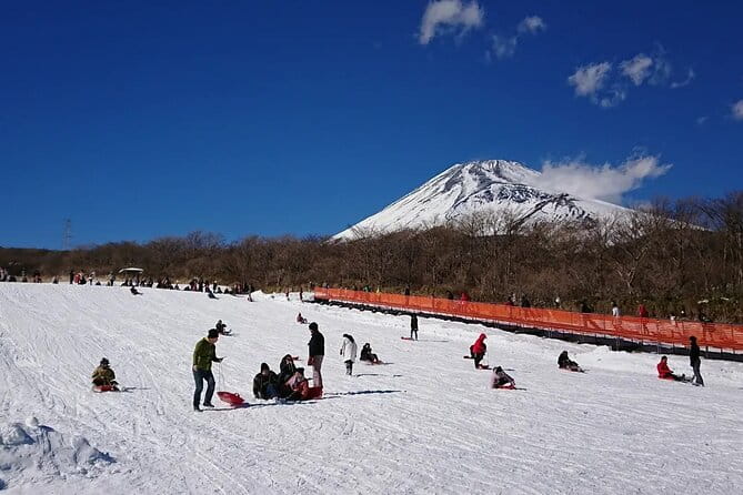 Mt Fuji and Hakone One Day Tour Departure From Tokyo With Lunch - Pricing and Reservation Policy