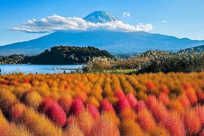 Mt Fuji and Hakone Private Day Tour With English Speaking Driver - Accessibility
