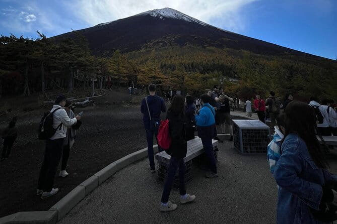 Mt.Fuji and Hakone Private SightSeeing Day Tour(from Tokyo) - Highlights of the Tour