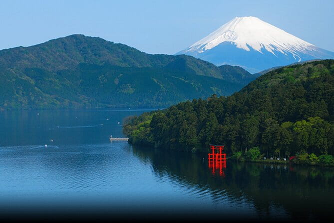 Mt.Fuji and Hakone Private SightSeeing Day Tour(from Tokyo) - Pickup and Meeting Points