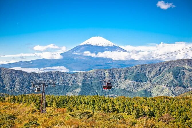 Mt. Fuji and Hakone Private Tour With English Speaking Guide - Pickup and Transportation Arrangements