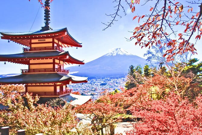 Mt. Fuji and Lake Kawaguchi Scenic 1-Day Bus Tour From Tokyo - Inclusions and Food Options