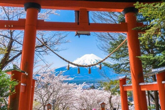 Mt. Fuji and Lake Kawaguchi Scenic 1-Day Bus Tour From Tokyo - Health and Safety Guidelines