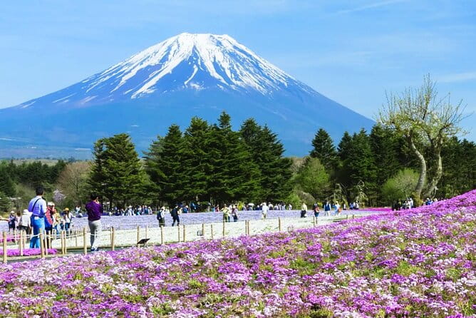 Mt.Fuji Arakurayama Sengen Park,Oshino Hakkai,Kawaguchi Lake Tour - Highlights of the Tour Itinerary