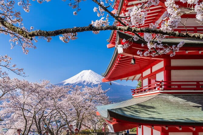 Mt. Fuji Area Tour Tokyo DEP: English Speaking Driver, No Guide - Booking and Cancellation