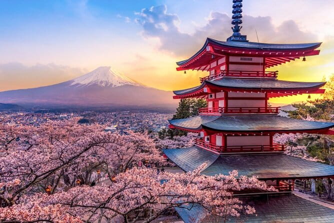 Mt. Fuji Cherry Blossom and Shibasakura Festival Tour - Exploring Mt. Fujis Cherry Blossoms