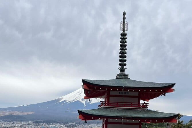 Mt. Fuji Cherry Blossom and Shibasakura Festival Tour - Accessibility and Inclusivity